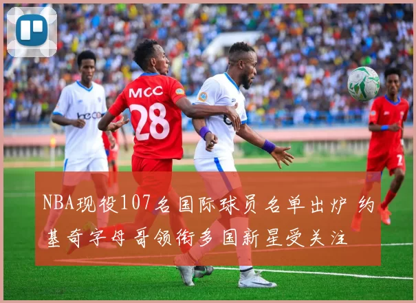 NBA现役107名国际球员名单出炉 约基奇字母哥领衔多国新星受关注