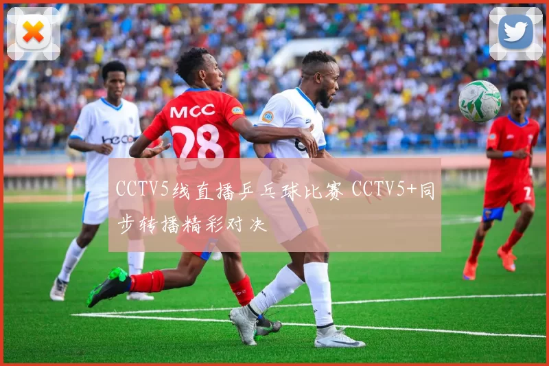 CCTV5线直播乒乓球比赛 CCTV5+同步转播精彩对决