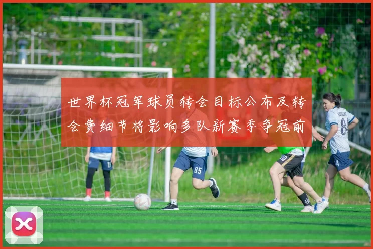 世界杯冠军球员转会目标公布及转会费细节将影响多队新赛季争冠前景